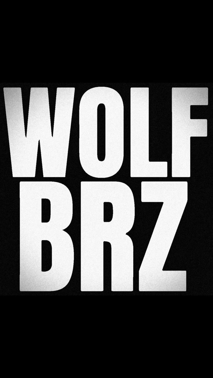 Pochette Wolf — BRZ